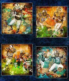 Sports Fabric, Football Fabric, Gridiron, Panel 5669