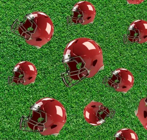 Sports Fabric, Football Fabric, Red Helmet Fabric, Cotton or Fleece 1136