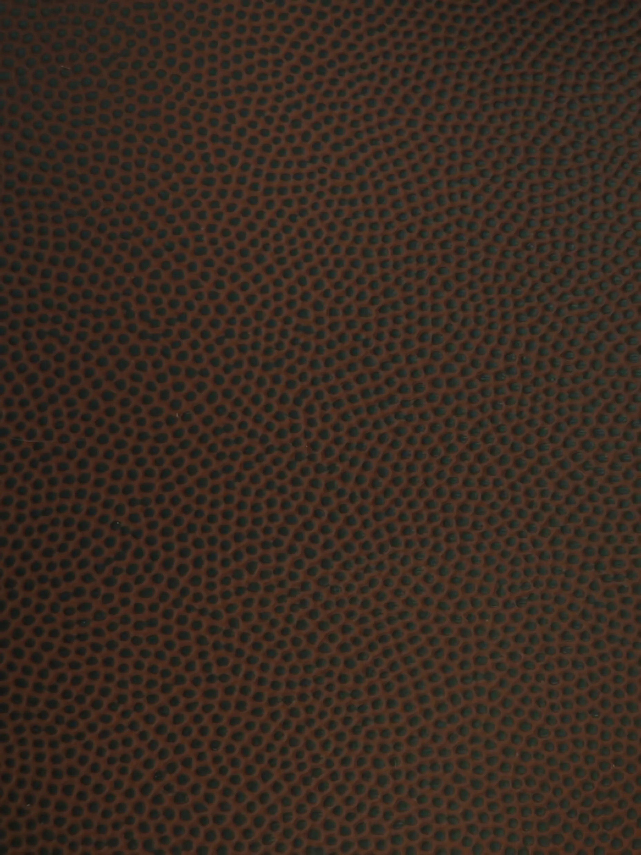 Sports Vinyl Fabric / Football